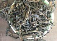 水金龟茶叶有什么特点？