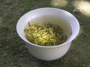 莫干黄芽属于什么茶？