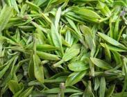 茅山青峰属于是什么茶？