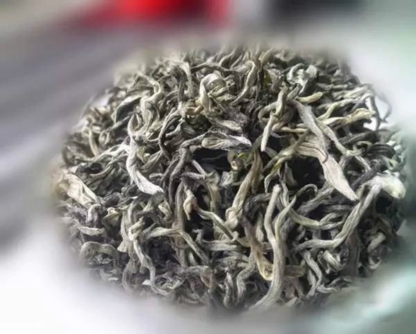 广西名茶——凌云白毛茶