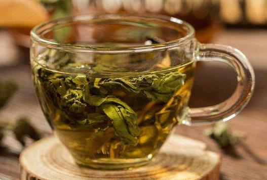 喝什么茶减肥？最常见的四种消脂减肥茶！