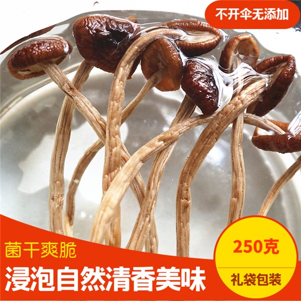 干锅茶树菇的做法介绍！