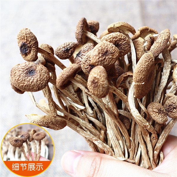 干锅茶树菇的做法介绍！