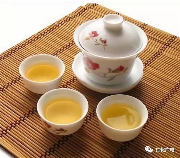 仁化最美茶园—中国白毛茶原种园