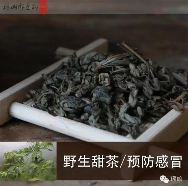 大瑶山有一种养生茶，甜而不含糖