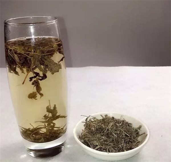来自东江湖畔不一样的放心茶——野生藤茶