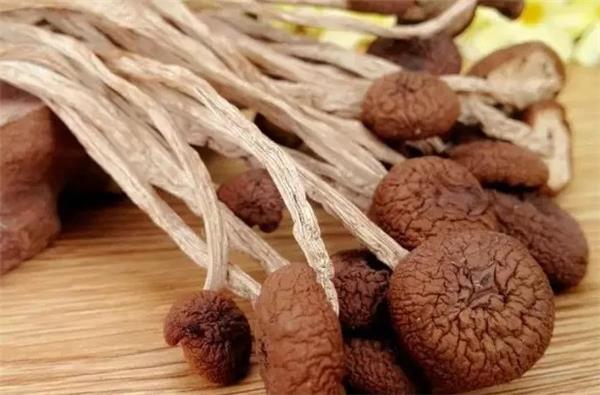 味纯清香，口感极佳的保健蕈菌——茶树菇