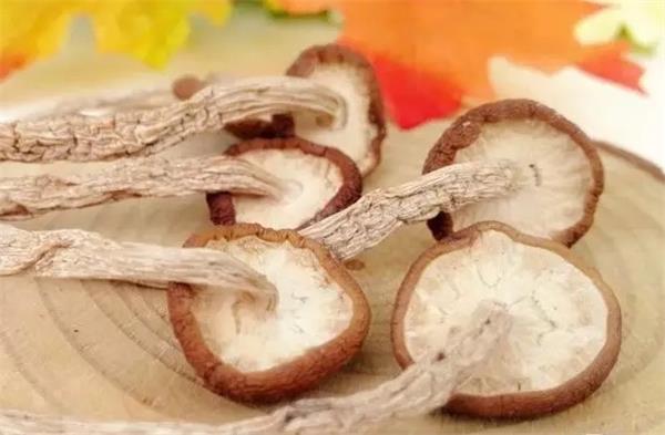 味纯清香，口感极佳的保健蕈菌——茶树菇