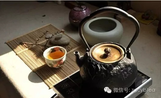 日本中部地区名茶——天龙茶