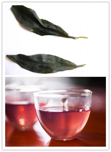 紫鹃茶