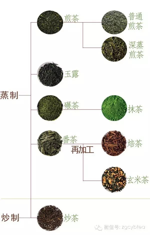 日本茶茶类
