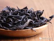 优良茶树品种——金牡丹