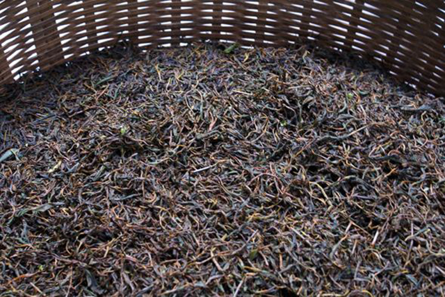茶叶发酵多久