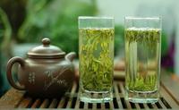 嶗山綠茶的8大養生功效分享