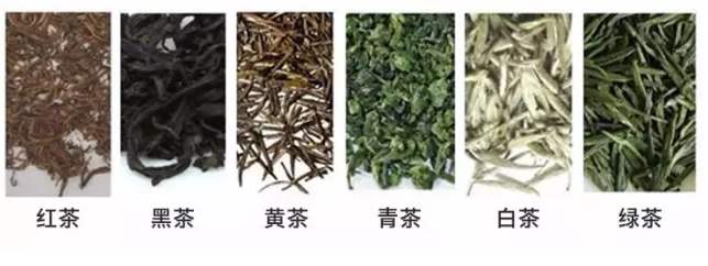 绿茶、黄茶、白茶、青茶、红茶、黑茶这6类茶各自的功效对比