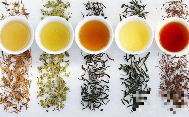 绿茶、黄茶、白茶、青茶、红茶、黑茶这6类茶各自的功效对比