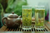 红茶和绿茶的从外表区别差异对比