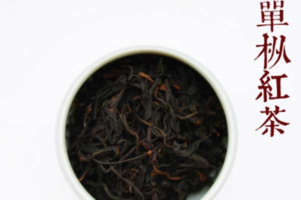 凤凰单枞红茶的特点及冲泡方法