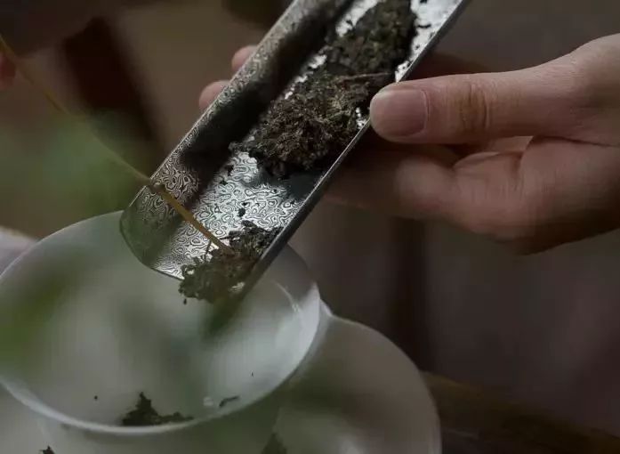 如何掌握喝茶的温度？