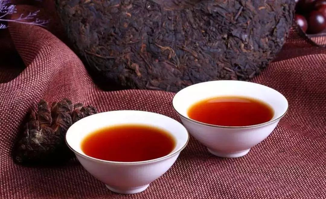 为何100个喝熟普的人，99个都爱春茶发酵的？