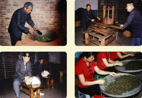福建安溪：推广传统制茶工艺 促进茶业健康发展