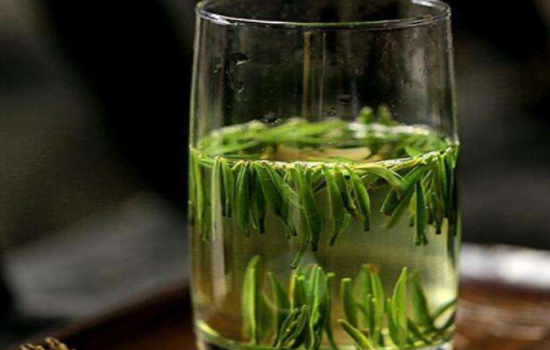 攒林茶的功效与作用 喝攒林茶有哪些禁忌