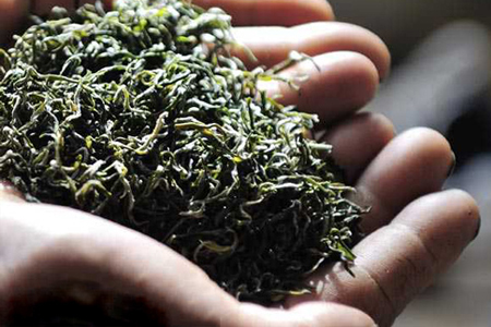 高桥银峰茶峰制作工艺 茶叶原来是这么制作出来的