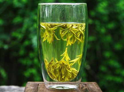 绿茶与白茶的区别 你知道绿茶和白茶怎么冲泡呢？