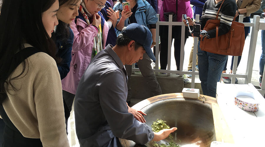 陆洲东，龙井村最年轻的炒茶王 含专访视频