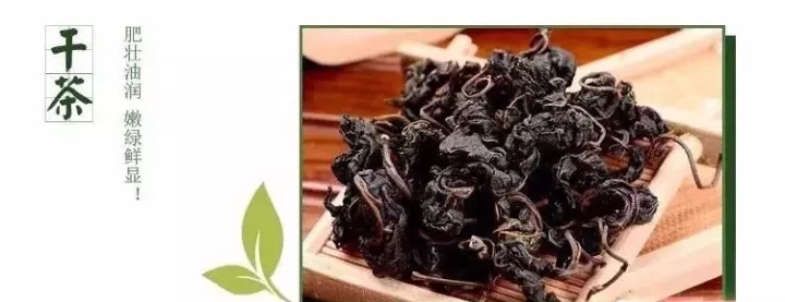英茶王桑叶茶：儿时的桑蚕，如今的养生茶