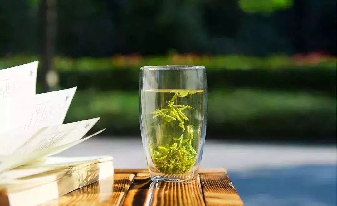 盼着喝春茶的你，能分清头采和头春的茶吗？
