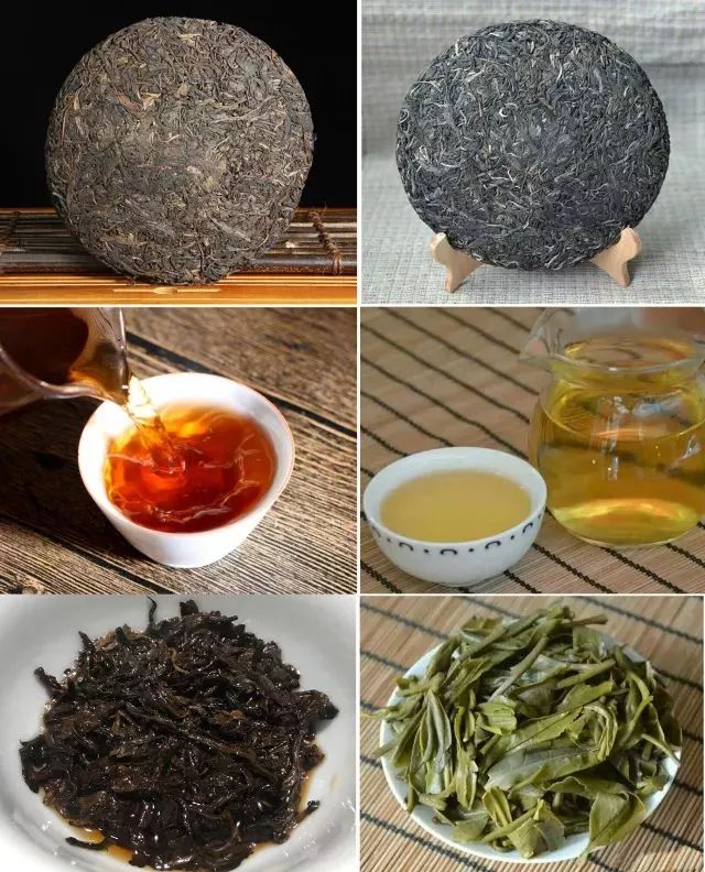 你对中国茶了解多少？