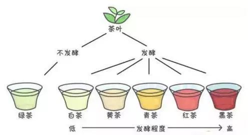 六大茶类主要成分大PK，有些结果出乎意料！