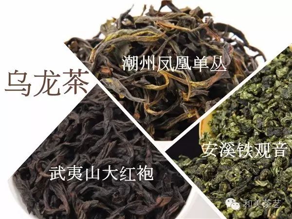 中国茶叶六大类，哪一种更适合你