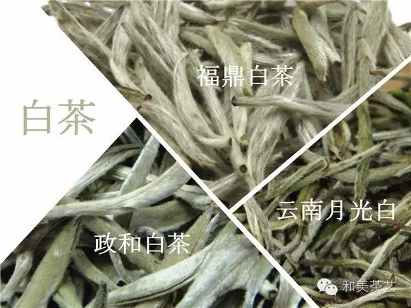 中国茶叶六大类，哪一种更适合你