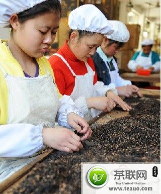 武夷山云雾茶——正山小种