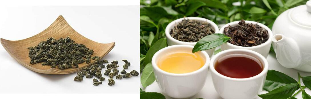 乌龙茶和普洱茶的区别 主要在制作工艺