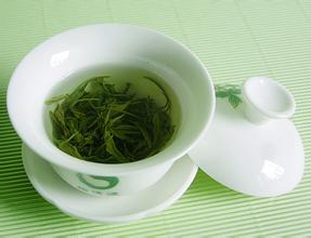 喝绿茶有哪些禁忌