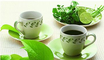 日照绿茶是怎样的绿茶