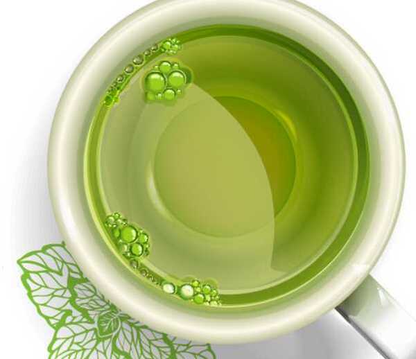 日照绿茶的冲泡方法