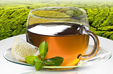 普洱茶与<a href=http://www.chayu.com/baike/385 target=_blank >六堡茶</a>