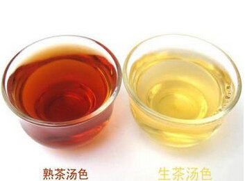 <a href=http://www.chayu.com/baike/385 target=_blank >六堡茶</a>与普洱茶