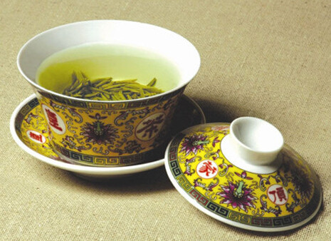 种植安吉白茶