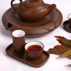 武夷山大红袍属于什么茶?