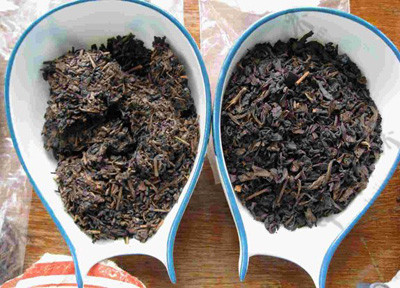 红茶茶种