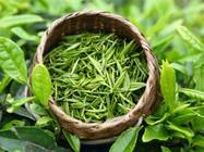 不同绿茶的种类有哪些