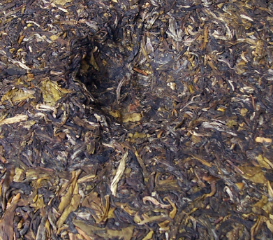 生普洱茶的功效与作用有哪些