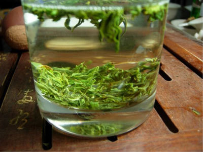 日常品味的信阳毛尖茶是绿茶吗?