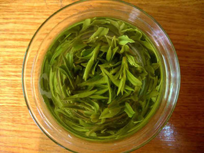 平日饮用的信阳毛尖属于绿茶吗
