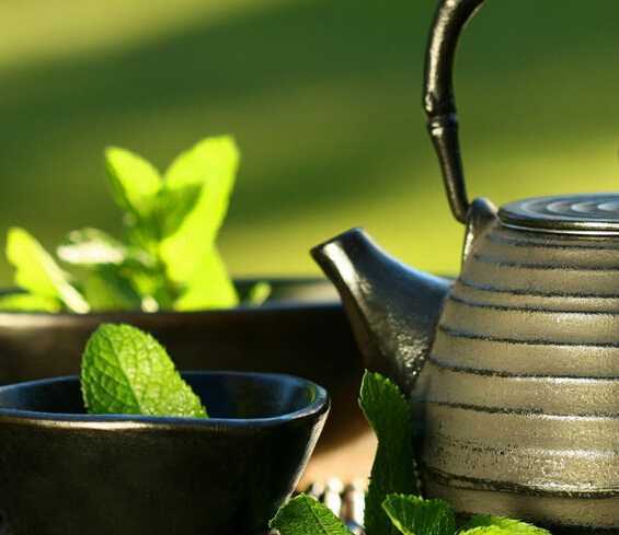 最好的绿茶是什么